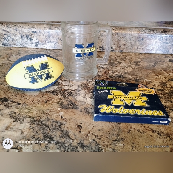 Michigan Wolverines New Man Cave Decor University Of Michigan - Picture 3 of 3